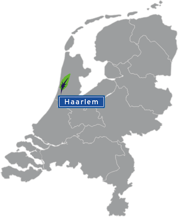 Grijze kaart van Nederland met Haarlem aangegeven voor maatwerk taalcursus Spaans zakelijk - blauw plaatsnaambord met witte letters en Dagnall veer - transparante achtergrond - 600 * 733 pixels